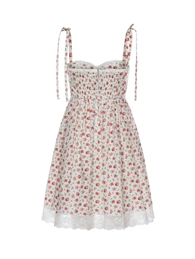 Dolce & Gabbana Lace-trimmed Floral-print Cotton-blend Poplin Bustier Mini Dress In Multi