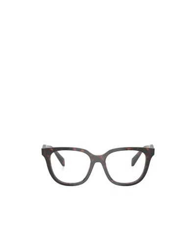 Prada 0pr C06v Oversized Square Frame Acetate Sunglasses In Brown