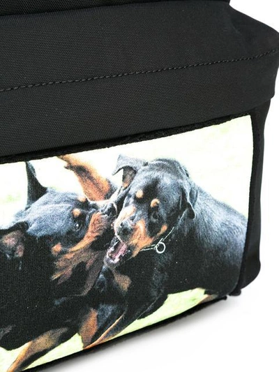 Shop Givenchy Rottweiler Print Backpack