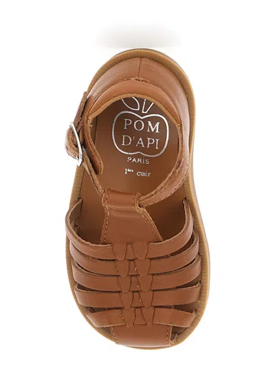 Pom D'api Pitti Nappa In Brown