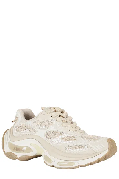 Ash Sneakers In White