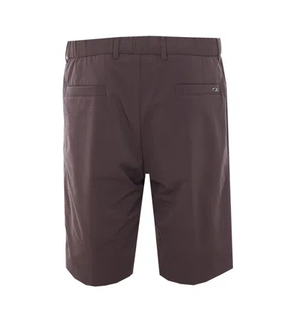 Herno Dark Brown Polyester Bermuda In Brown