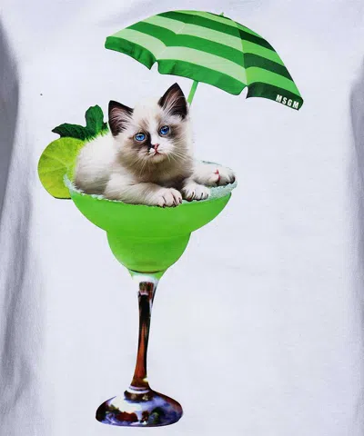Msgm Cotton T-shirt In White