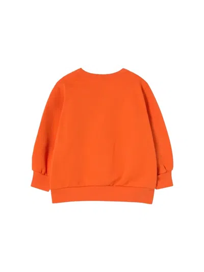 Tinycottons Tiny&tiny Graphic Sweatshirt In Orange