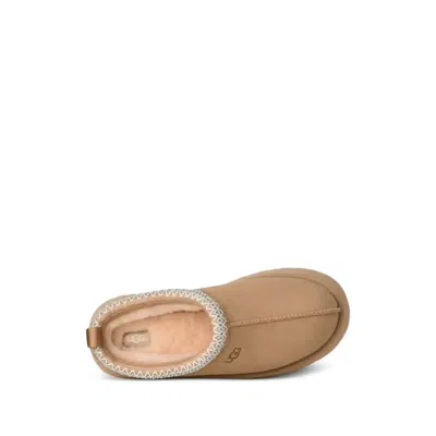 Ugg Tazz Beige Sabot With Embossed Logo In Suede Woman In Multi