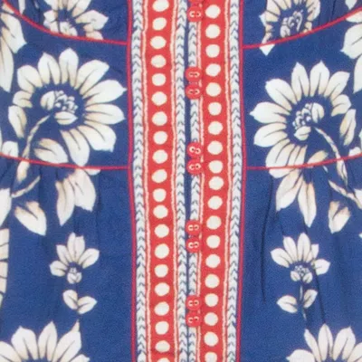 Farm Rio Luna Blue Long Dress With V Neck And All-over Floral Motif In Cotton Woman