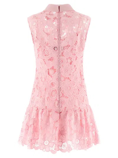 Self-portrait Pink Lace Collared Mini Dress In Multi