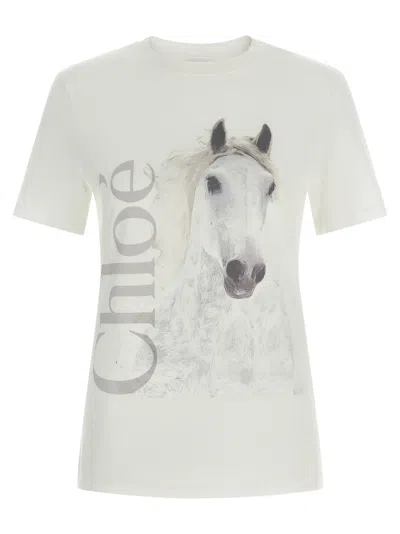 Chloé Cotton Crew Neck Graphic Short Sleeve T-shirt In White