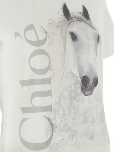 Chloé Cotton Crew Neck Graphic Short Sleeve T-shirt In White