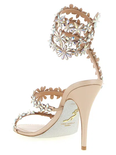 René Caovilla Flat Sandal Rene Caovilla Woman Color Pink In Multi