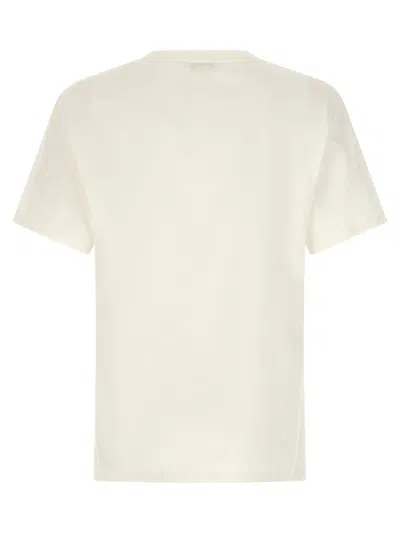 Alexander Mcqueen Skull Graphic Crew Neck Cotton T Shirt In White
