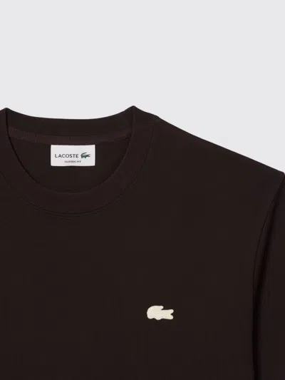 Lacoste Logo T-shirt In Brown