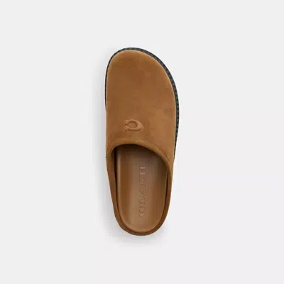 Coach Sport Clog In Brown