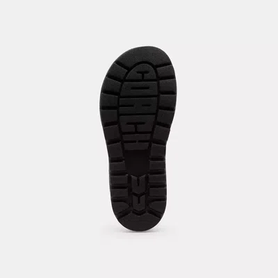 Coach Brynn Sandal In Multi