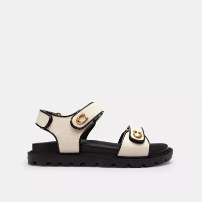 Coach Brynn Sandal In Multi