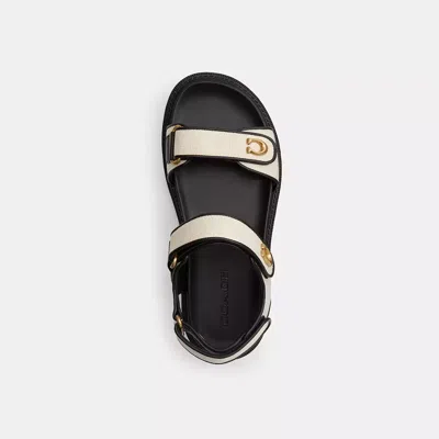 Coach Brynn Sandal In Multi