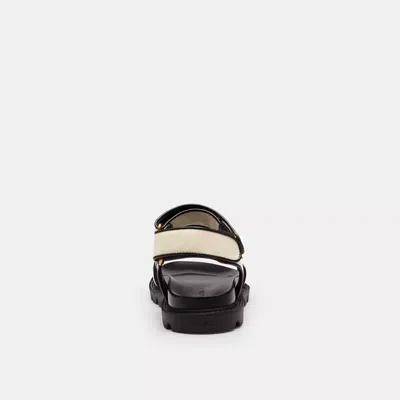 Coach Brynn Sandal In Multi