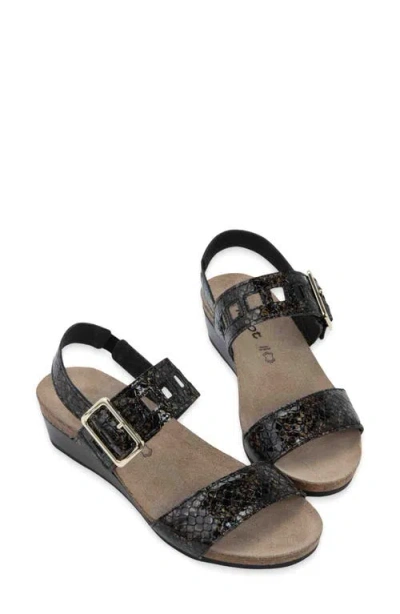 Naot Dynasty Wedge Sandal In Black