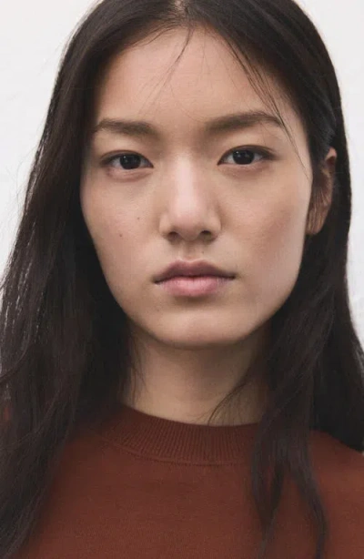 Mango Cotton Sweatshirt In Brown