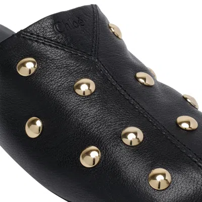 Chloé Elisabetta Franchi Belted Safari Jacket In Multi