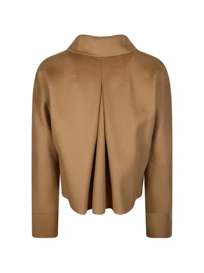 Max Mara Triumph Button-up Collared Cropped Jacket In Brown