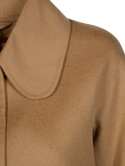 Max Mara Triumph Button-up Collared Cropped Jacket In Brown