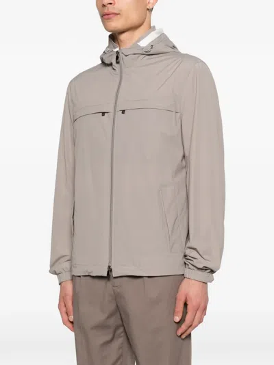 Corneliani Hooded Zip Jacket In Neutral