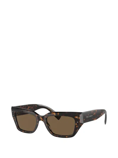 Dolce & Gabbana Square Studed Sunglasses In Brown