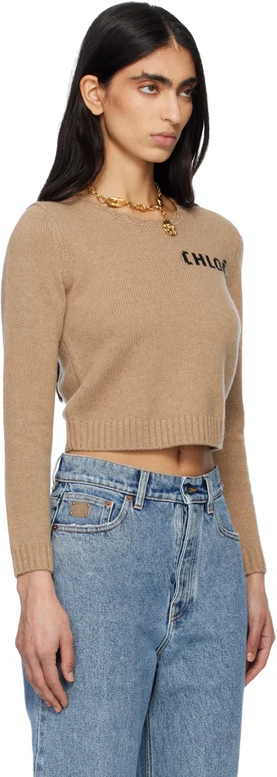 Chloé Wool And Cashmere Blend Sweater With Logo In Brown