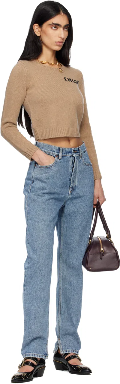 Chloé Wool And Cashmere Blend Sweater With Logo In Brown