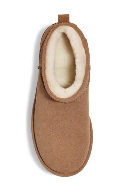 Ugg Suede Classic Ultra Mini Platform Boots In Brown
