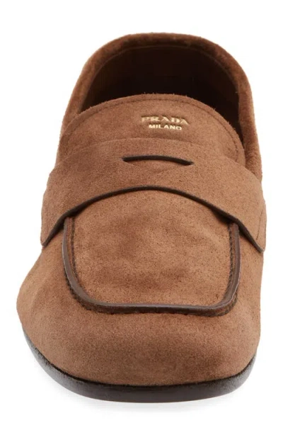 Prada Piped Loafer In Brown