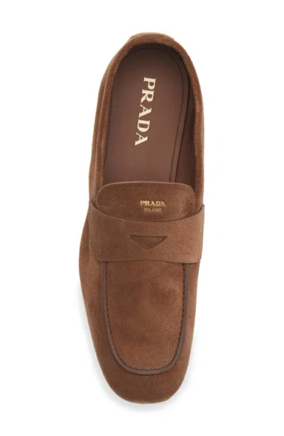 Prada Piped Loafer In Brown