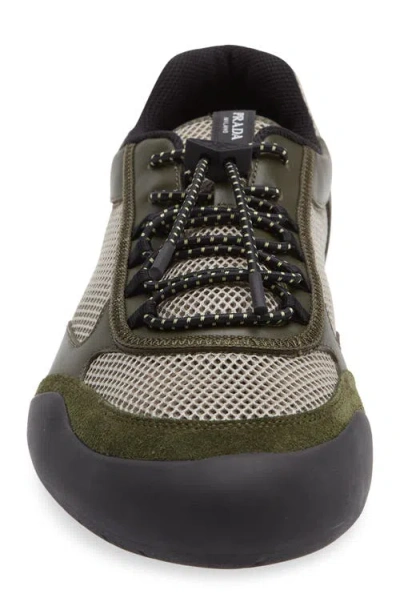 Prada Sneakers Speedrock In Leather And Mesh Fabric In Multi