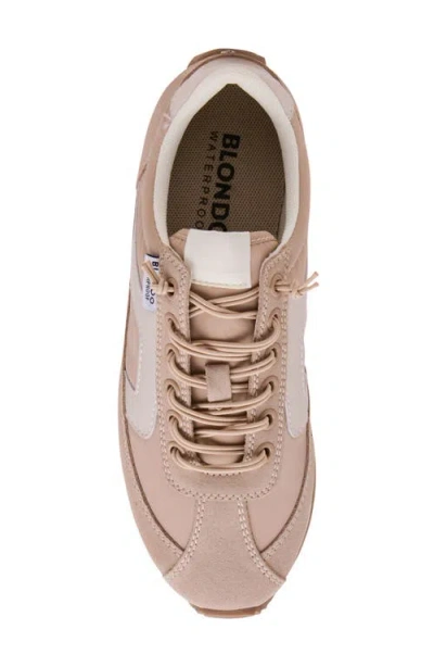 Blondo Eagle Waterproof Sneaker In Brown