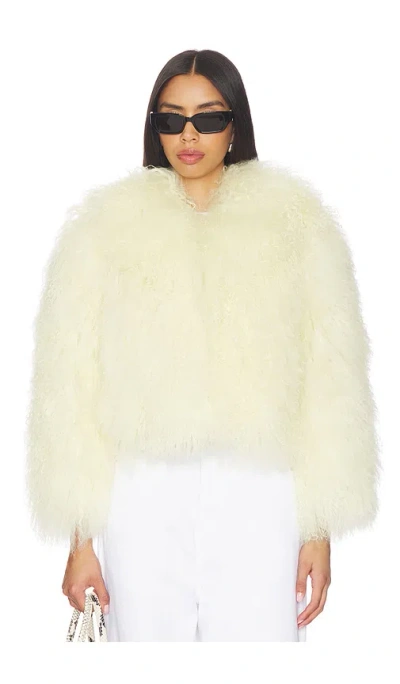 Bubish Georgina Jacket In Multi