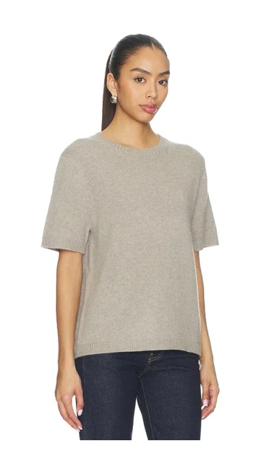 Soft Goat Oversized T-shirt In Gray