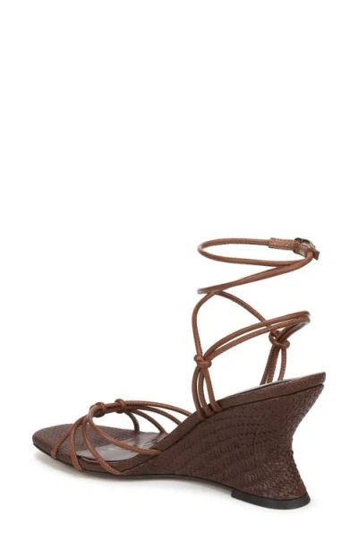 Sam Edelman Daxton Sandal In Brown