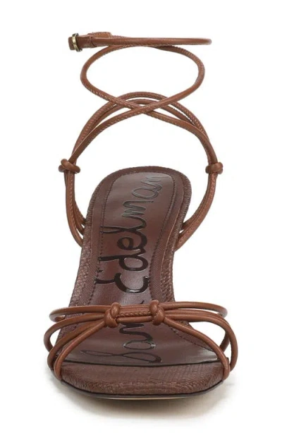 Sam Edelman Daxton Sandal In Brown