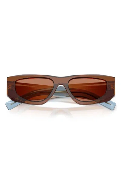 Prada 0pr B19s Translucent Brown Angular Sunglasses In Brown