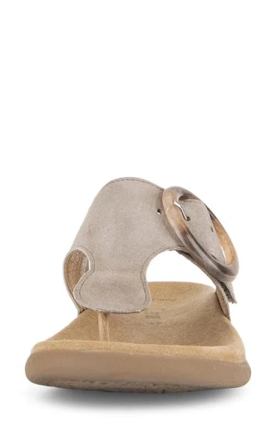 Gabor Flip Flop In Brown