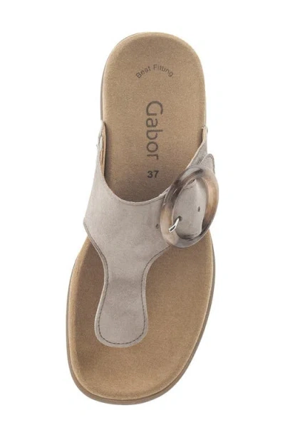 Gabor Flip Flop In Brown