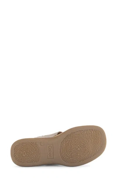 Gabor Flip Flop In Brown