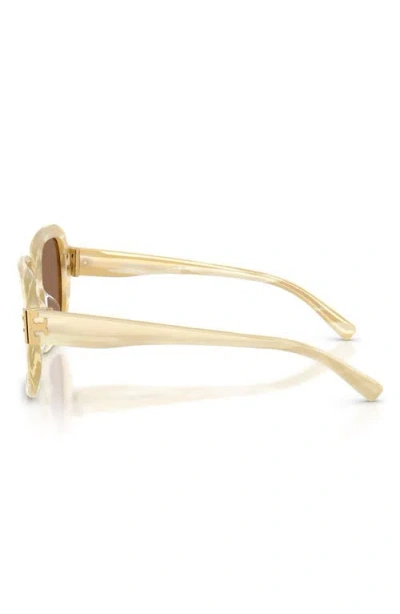 Tory Burch 51mm Polarized Square Sunglasses In Multi