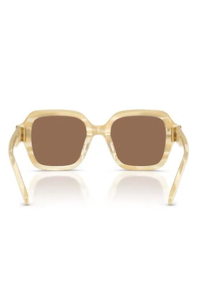 Tory Burch 51mm Polarized Square Sunglasses In Multi