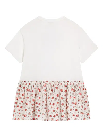 Dolce & Gabbana Small Rose-print Dress With Dg Patch In Multi