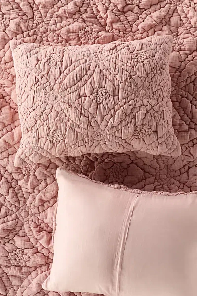 Anthropologie Everly Cotton Floral Shams, Set Of 2 In Pink | ModeSens
