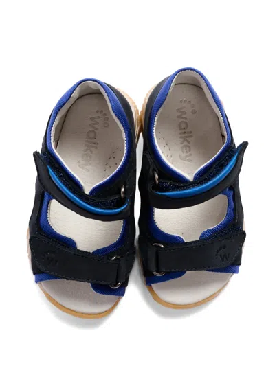 Walkey Hook Loop Sandals In Blue