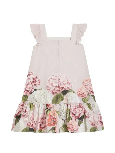 Dolce & Gabbana Hydrangea-print Striped Cotton Canvas Dress In Neutral