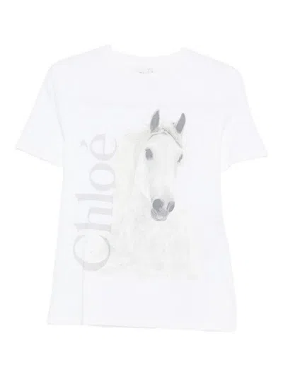 Chloé Cotton Crew Neck Graphic Short Sleeve T-shirt In White